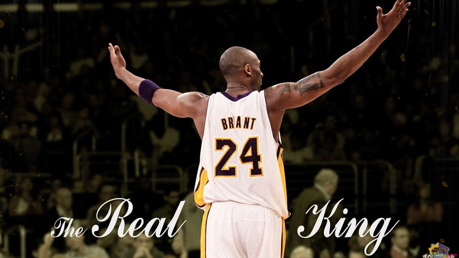 开云下载-从蒙特卡洛的泥泞到伦敦的王座，德约科维奇式逆转的唯一性密码